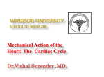 cardiac_cycle lecture 6