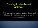 cloning plants and animals