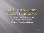 Chapter 5 * How Ecosystems work