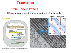 CHEM 642-09 Powerpoint