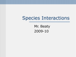 Species Interaction