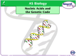 Nucleic Acids and the Genetic Code