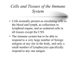 Cells and Tissues of the Immune System