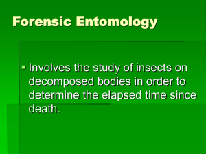 Forensic Entomology