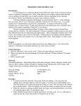 Household Acids and Bases Lab