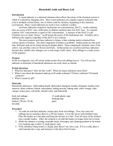 Household Acids and Bases Lab