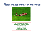 Plant transformation methods