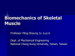 Biomechanics of Skeletal Muscles