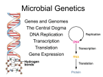 Microbial Genetics