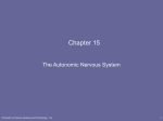 autonomic nervous system