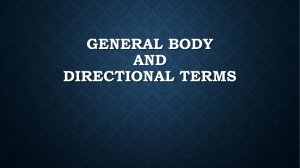 General Body and Directional Terms