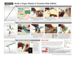 Build a Paper Model of Transfer RNA (tRNA)