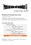 (a) Conversion of phenyl alanine to tyrosine.