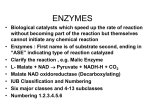 classification of enzymes