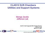 CLAS12 Drift Chambers Utilities and Support Systems