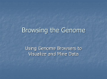 Browsing the Genome