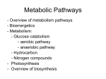 lecture notes-metabolism pathways-web