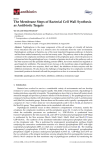 The Membrane Steps of Bacterial Cell Wall Synthesis as Antibiotic