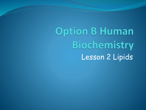 Option B4 Lipids 2