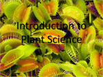 Intro to Horticulture