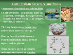 I. II. and III. Carbohydrates Structures and Plants