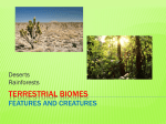 Terrestrial Biomes Features and Creatures