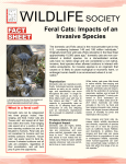 Feral Cats: Impacts of an Invasive Species