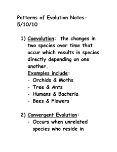 Patterns of Evolution Notes