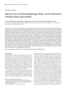 Selective Loss of Catecholaminergic Wake–Active Neurons in a