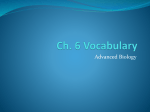 Ch. 6 Vocabulary