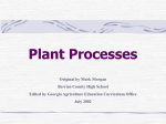 Plant Processes - Georgia CTAE | Home