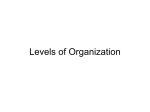 Levels of Organization