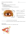 Eye Structure and Function Guided Notes Name: Do Now Which