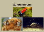 18 Parental Care and Nesting