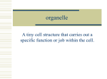 organelle