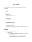 Nerve Structure