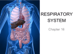 respiratory system - Northside Middle School