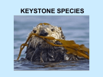 keystone species - Wando High School