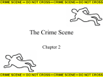 The Crime Scene - Miami Beach Senior High School