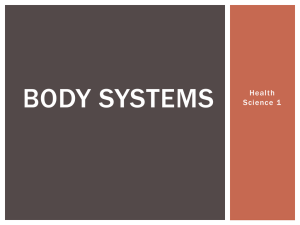 Body Systems