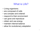 Homologous structures