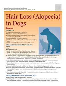 hair_loss_(alopecia)_in_dogs