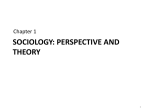 Soc*ology: Perspect*ve and theory