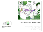 COX 2 Inhibitor Interactions - Center for Selective C–H