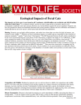 Ecological Impacts of Feral Cats