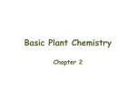Basic Plant Biochemistry