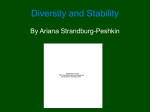 Diversity and Stability
