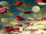 Sci8Un6#17ACell+structures