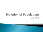 Ch. 16 - Evolution of Populations