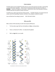 Protein Synthesis File
